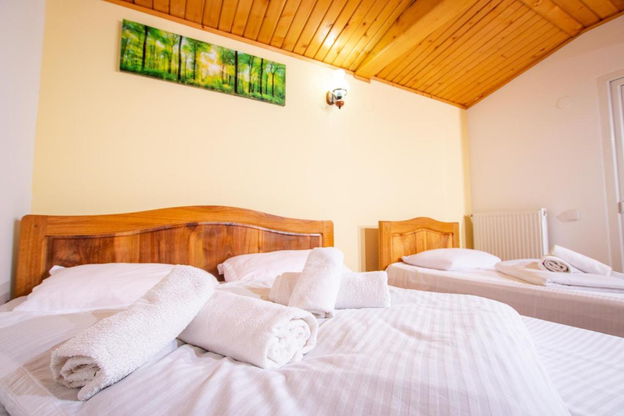 Hotel Casa Alba Baia de Aramă Zewnętrze zdjęcie