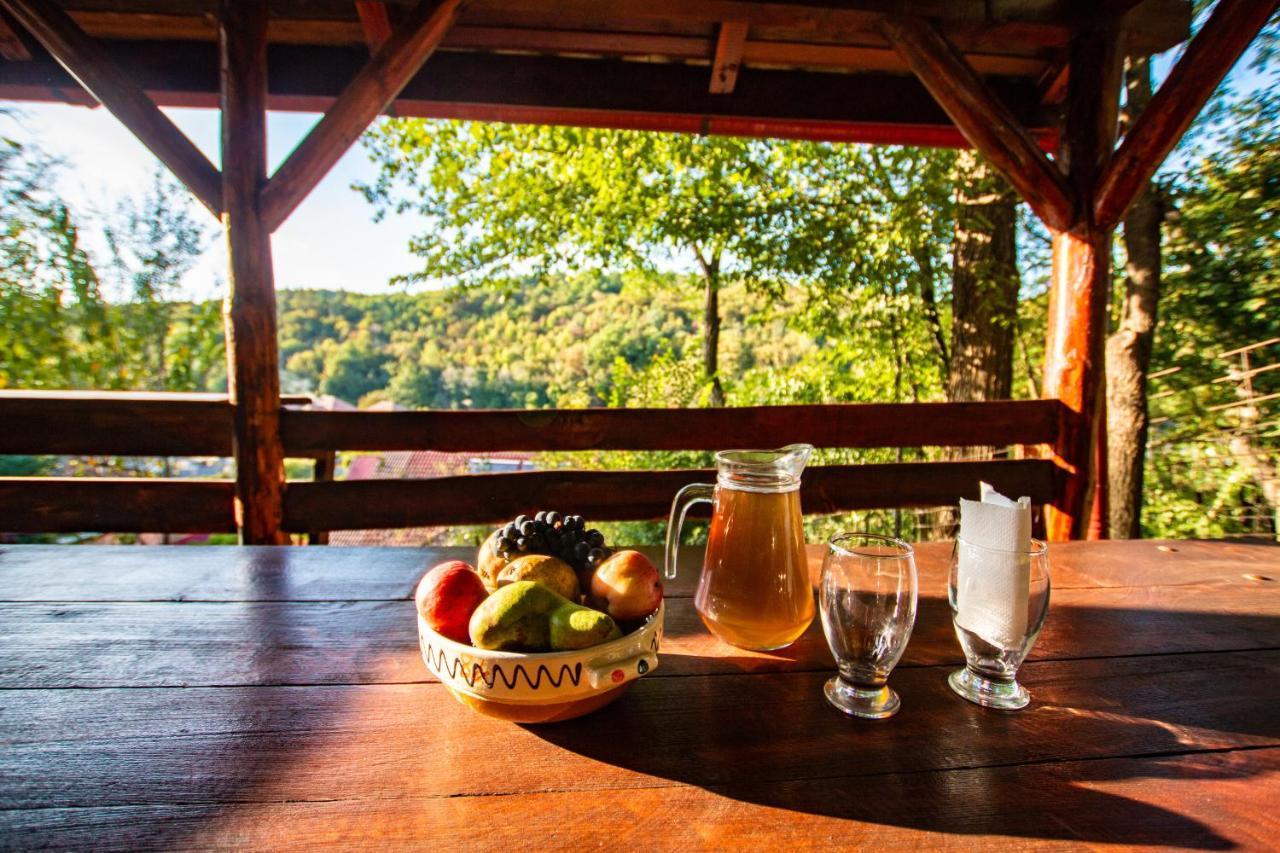 Hotel Casa Alba Baia de Aramă Zewnętrze zdjęcie