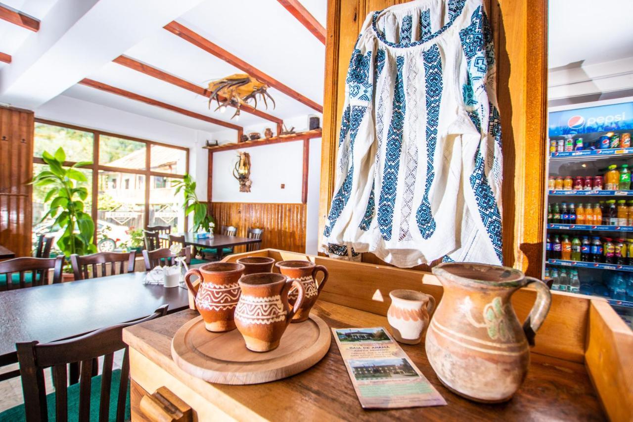 Hotel Casa Alba Baia de Aramă Zewnętrze zdjęcie