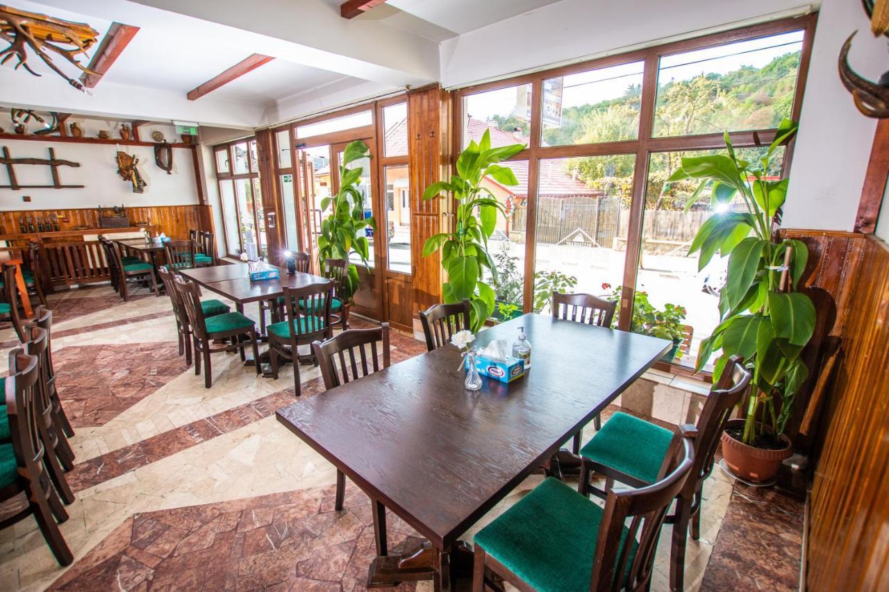 Hotel Casa Alba Baia de Aramă Zewnętrze zdjęcie