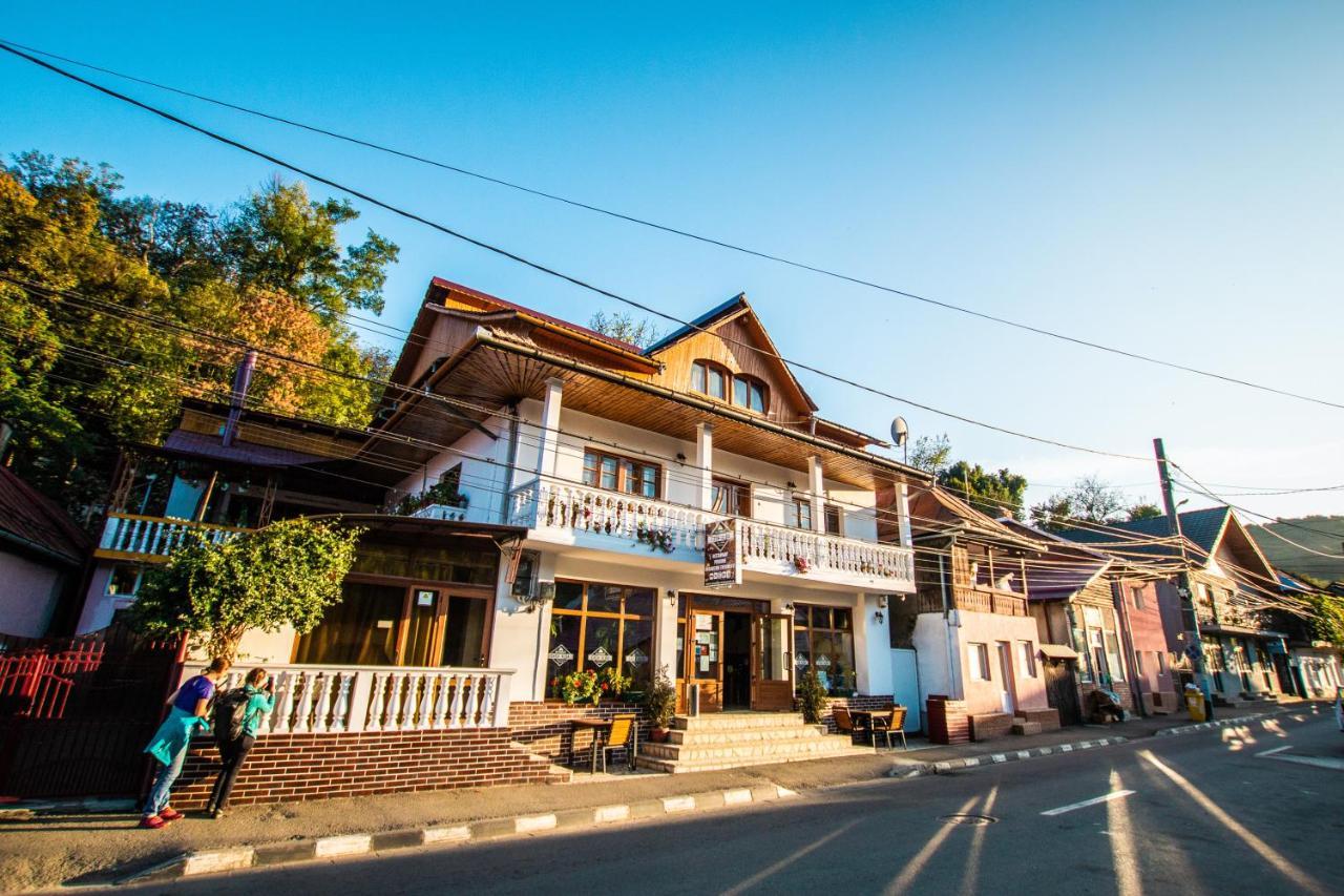 Hotel Casa Alba Baia de Aramă Zewnętrze zdjęcie
