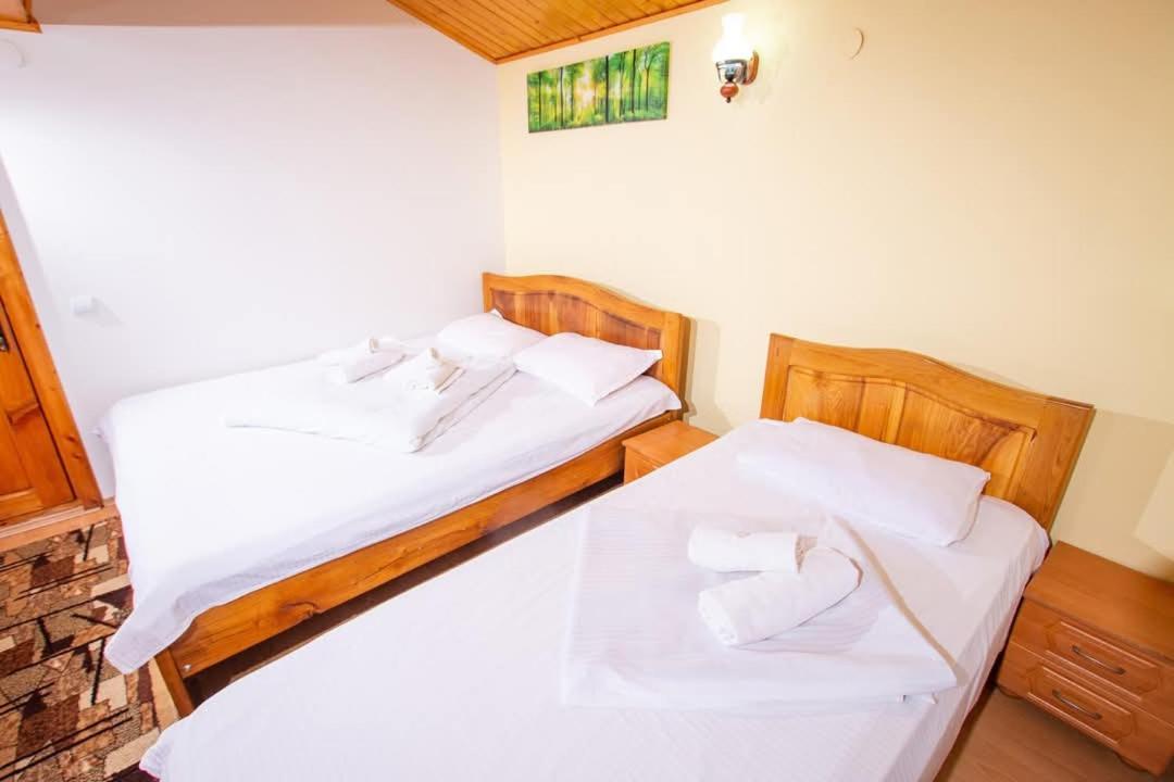Hotel Casa Alba Baia de Aramă Zewnętrze zdjęcie